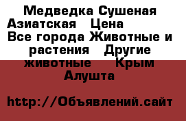 Медведка Сушеная Азиатская › Цена ­ 1 400 - Все города Животные и растения » Другие животные   . Крым,Алушта